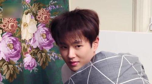 陈泽吃瓜事件真相是什么,揭秘背后真相与真相背后的真相