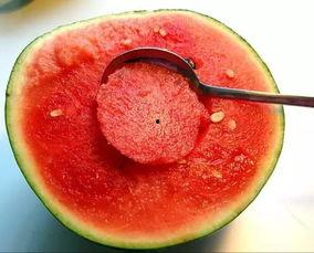 仙居小红花吃瓜事件,一场网络热议的真相探寻