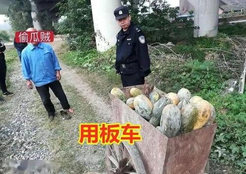 湘潭野外吃瓜事件视频大全