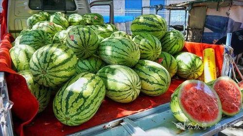 广西南宁吃瓜网红事件真相,真相与争议交织