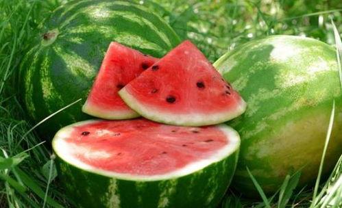 二饼吃瓜最新事件,揭秘娱乐圈最新热点事件背后的真相