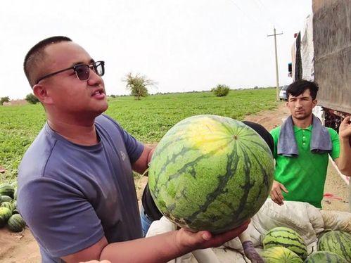 新昌吃瓜最新事件爆料新闻