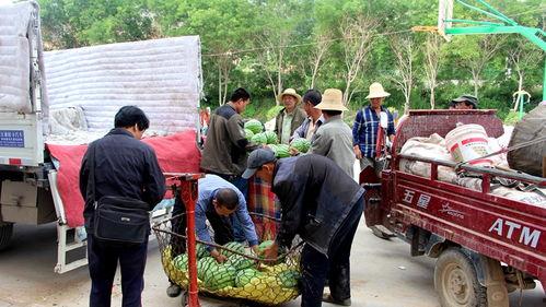 金乡吃瓜群众事件视频曝光,视频曝光揭示惊人真相