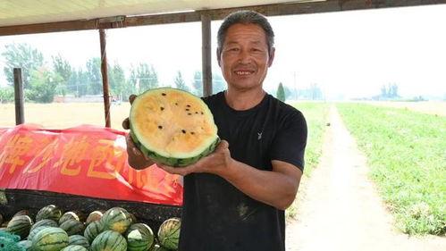 枣庄最新吃瓜事件视频大全,一网打尽热门瞬间