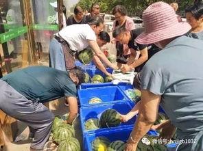 长治操场吃瓜事件视频,揭秘校园网络暴力背后的真相