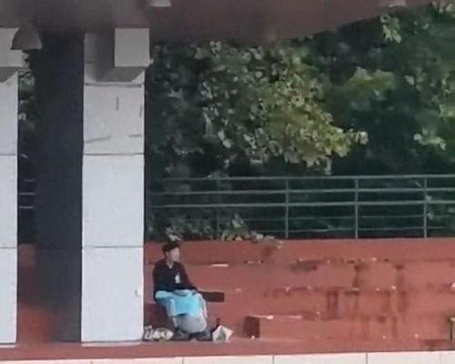 寿光顶楼吃瓜事件视频,一场意外引发的全民热议