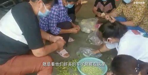 丰城邹雨婷吃瓜事件真相,揭开真相背后的曲折与反思