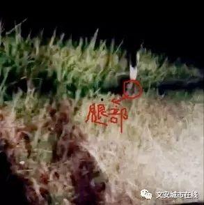 吃瓜闹鬼事件是真的吗