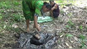 平潭爬树吃瓜事件始末