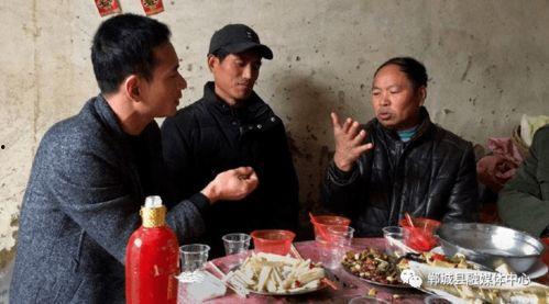 郸城县吃瓜事件始末,一场网络舆论的风波与反思