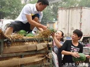 郸城县吃瓜事件始末,一场网络舆论的风波与反思