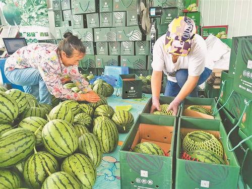 最近西昌吃瓜事件真相,真相与反思