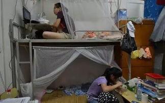 大学生宿舍吃瓜事件,揭秘大学生宿舍吃瓜事件的背后真相