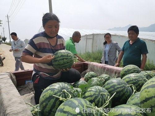 巩义市四姑娘吃瓜事件最新进展