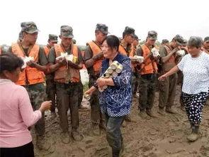 缅北打仗大妈吃瓜事件,大妈吃瓜成焦点，网友热议战地奇观