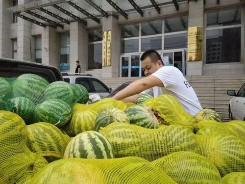 乌海市吃瓜事件视频,一场引发热议的网络风波