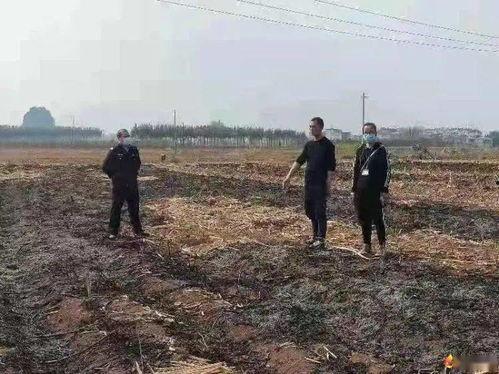 夏邑马头镇吃瓜事件情况,一场引发热议的社区冲突纪实