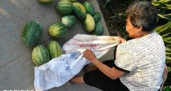 邹城吃瓜最新事件真相,揭秘背后真相与争议