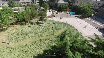 曹县瀚林院吃瓜事件详情,揭秘网络热议背后的真相