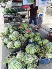 高要二中吃瓜事件,校园风波背后的真相揭秘